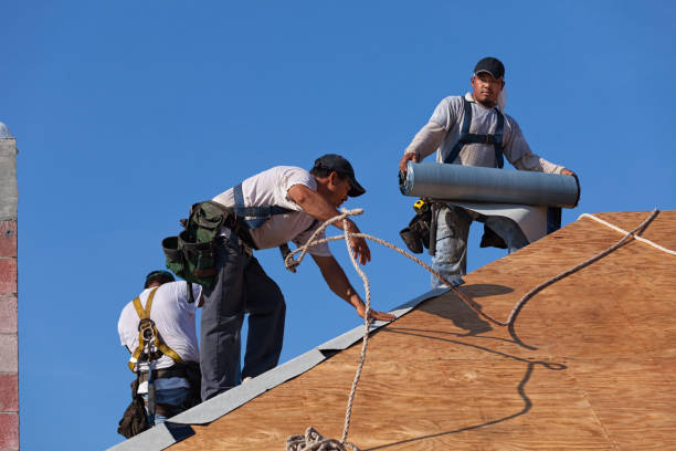 Best New Roof Installation  in Parchment, MI