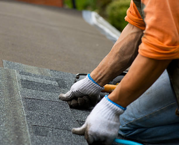 Best New Roof Installation  in Parchment, MI