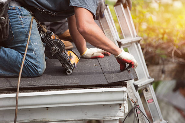 Best Storm Damage Roof Repair  in Parchment, MI